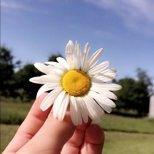 Meet your Posher, Denise